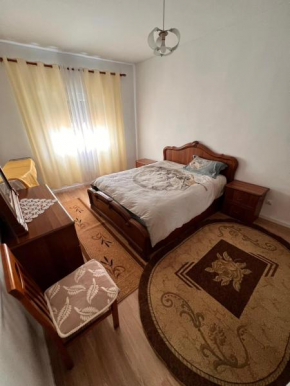 Cosy apartament tirana